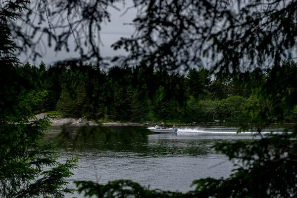 Trifoil 100GT on the water, framed by overhanging branches